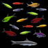 GloFish® 20G Pristella Community Set (16ct) Green Pristella