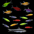 GloFish® 20G Pristella Community Set (16ct) Orange Pristellas