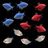 Blue, Red, and White Tetras
