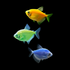 GloFish® Skirt Tetra Mixed Set (3ct) Yellow