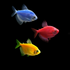 GloFish® Skirt Tetra Mixed Set (3ct) Blue