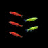 GloFish® Christmas Danio Set 