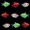 GloFish® Christmas Tetra Set (9ct)