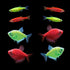 Danio and Tetra Christmas Collection