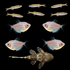 Companion Collection (11ct)