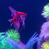 GloFish® Patterned Starfire Red® Large Angelfish (1 ct)