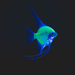 A GloFish® Electric Green® Angelfish with long flowing fins, isolated against a solid black background.