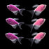 3 Long-Fin Purple and Pink Tetras