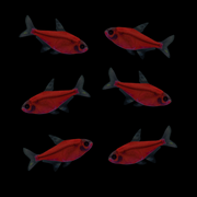 GloFish® Pristella Tetra Starfire Red Six Count