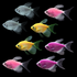 GloFish® Spring Collection (8 ct)