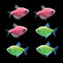 GloFish® Skirt Tetra Tulip Set (6ct)