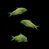 GloFish® Corydoras Single Color Set (3ct) Yellow