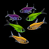 GloFish® Pristella Tetra Mixed Set (6ct) Purple Top