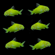 GloFish® Corydoras Single Color Set Electric Green