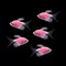 Moonrise Pink Long-Fin Tetra 5pk