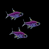Galactic Purple GloFish® Pristella Tetra Add-on 3pk