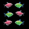 Tetra Tulip Collection