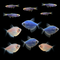 GloFish® Winter Collection (11 ct)